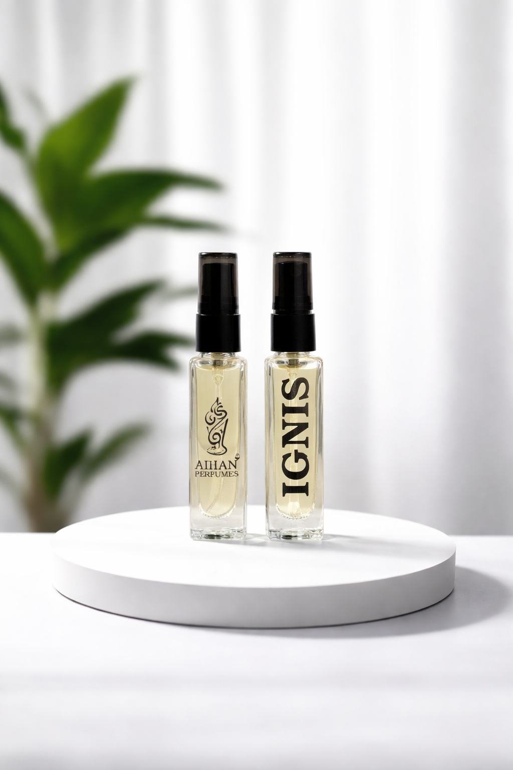 f8bb59ef-6369-4650-b40a-4b7fb11280ec-2 IGNIS (8ml) - Image 1